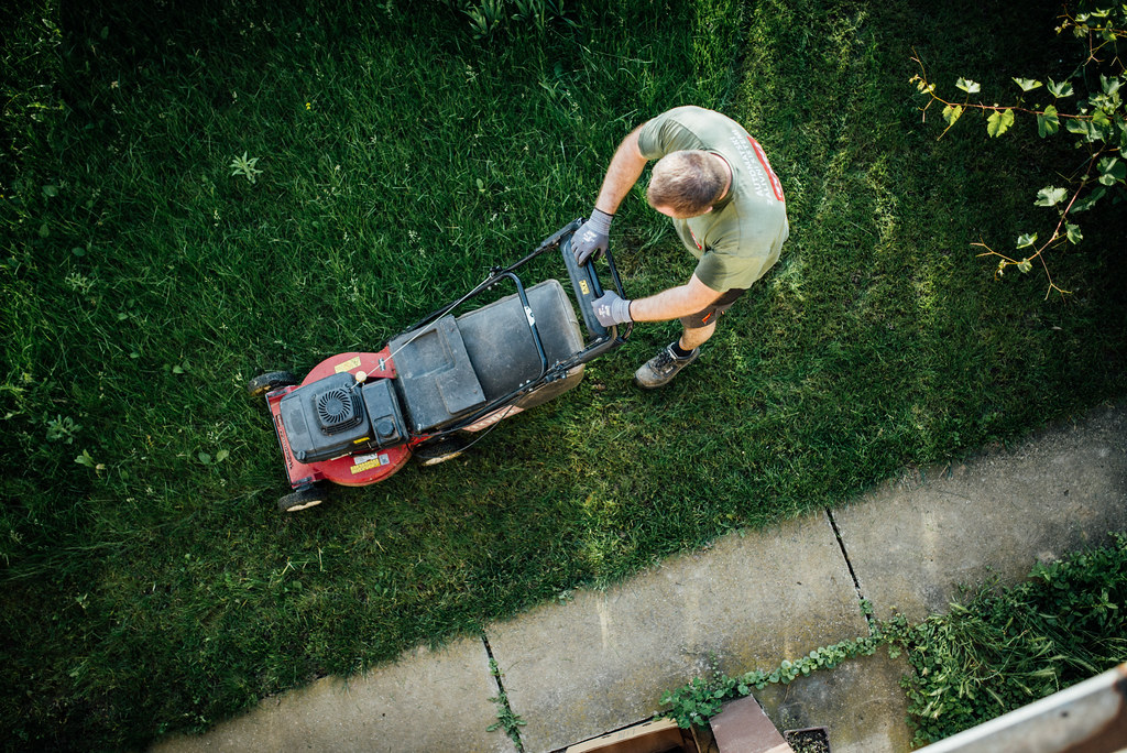 A walk-behind gas lawn mower cutting a green suburban lawn