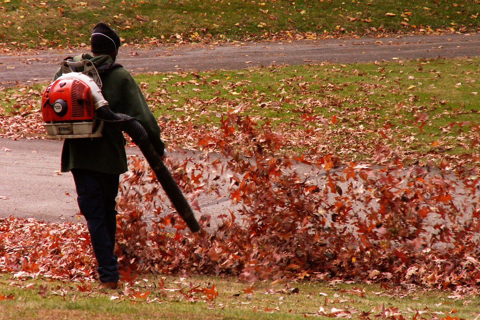 A worker clearing leaves with a leaf blower