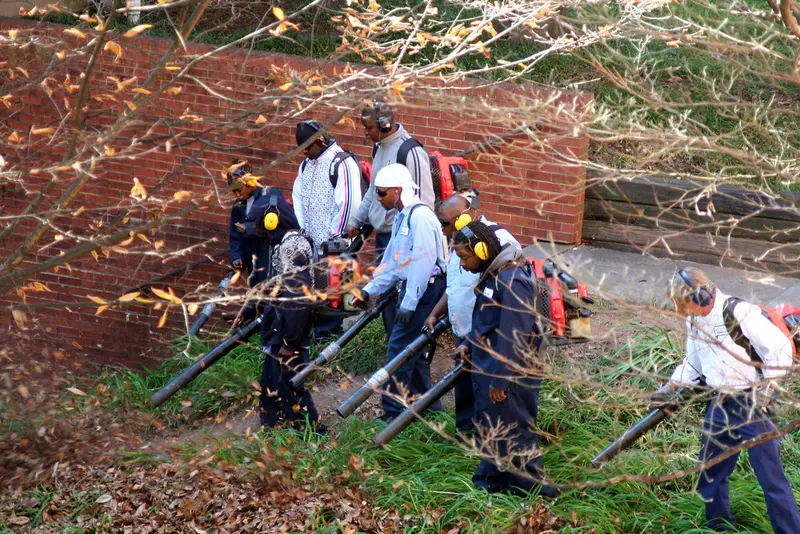 A handheld leaf blower