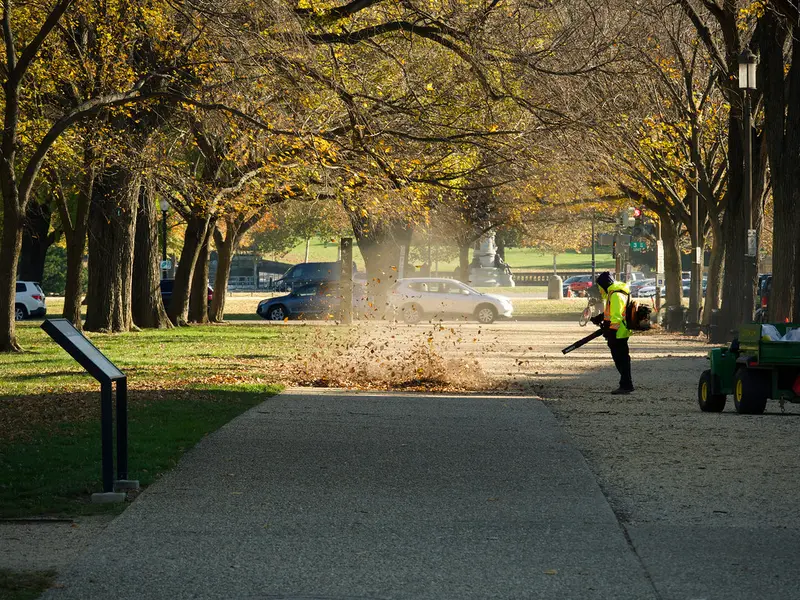 A leaf blower clearing leaves on a lawn in the morning