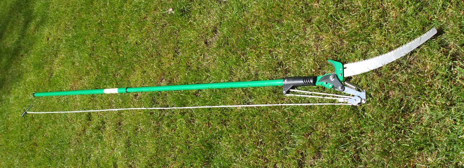 A telescoping pole saw for reaching high branches