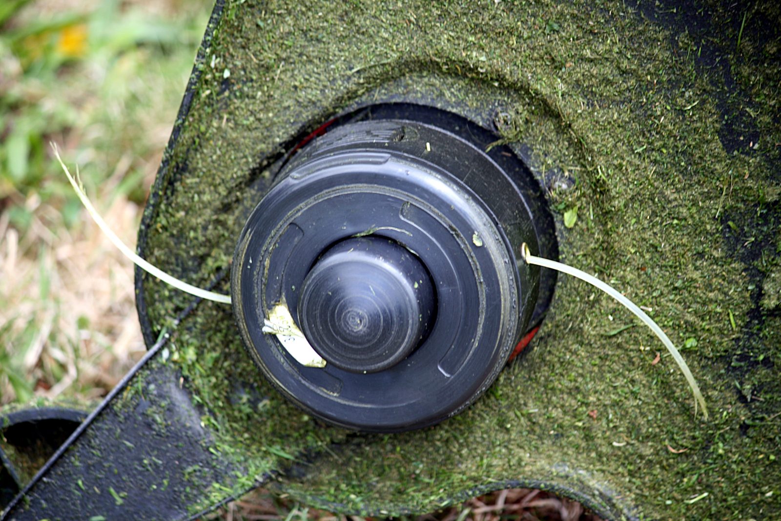 A handheld gas string trimmer resting on a mowed lawn