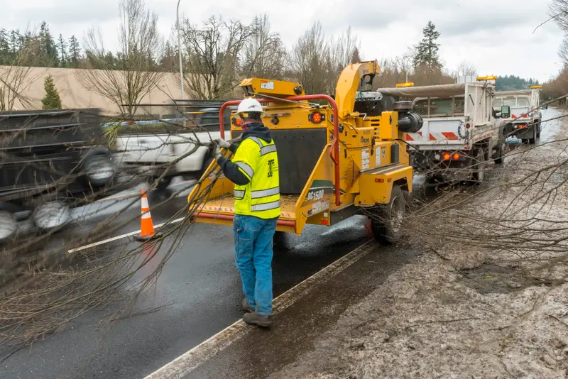 Workers feeding branches into a large chipper shredder